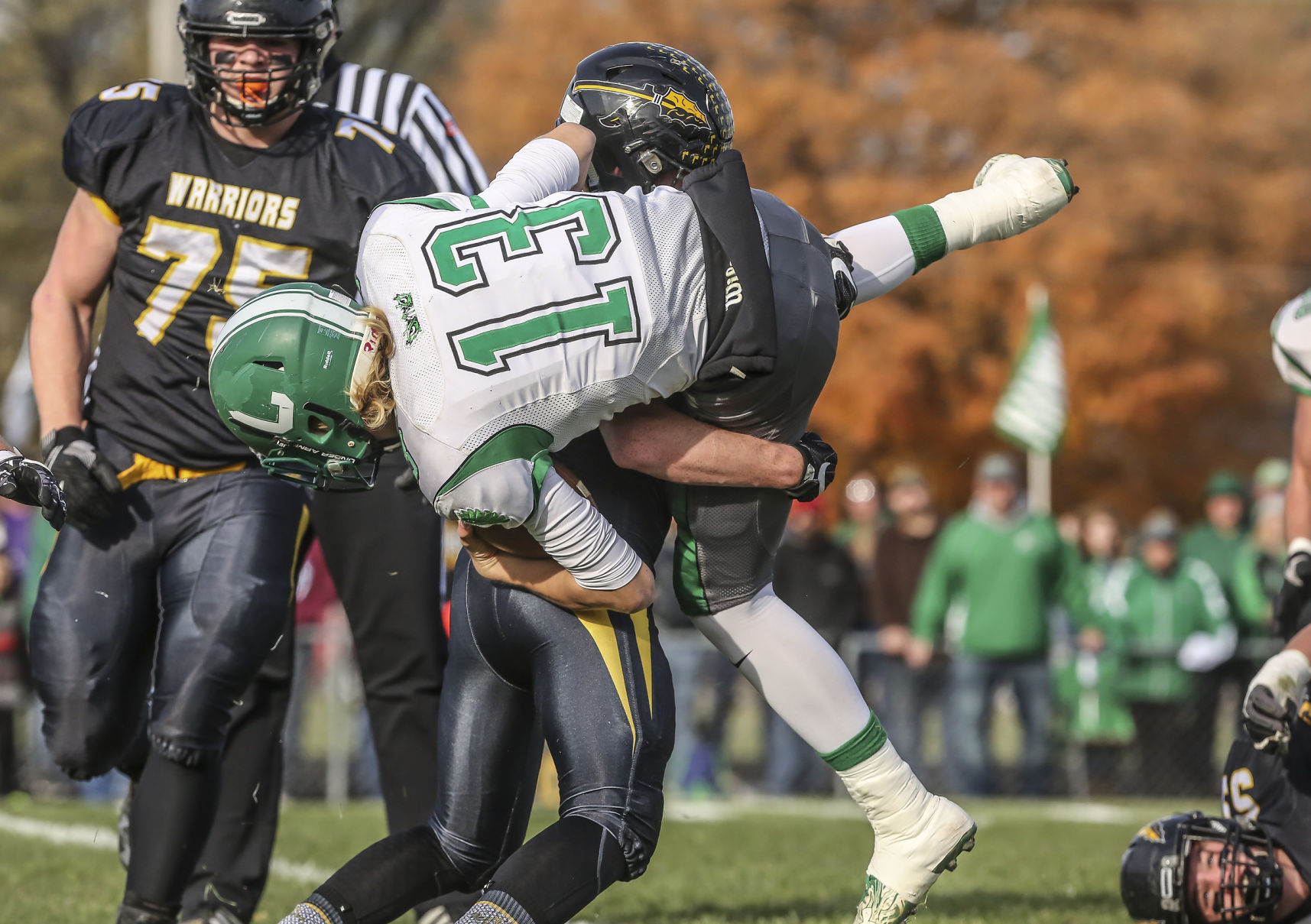 decgal tuscola 12 111017.JPG